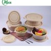 Sản Phẩm Bột Ngô Tự Phân Hủy