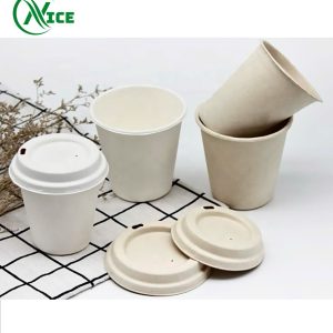 Ly Và Nắp Bã Mía