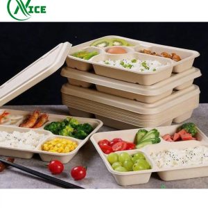 Khay bã mía nhiều ngăn