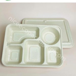 Khay bã mía nhiều ngăn