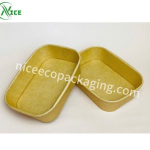 Tô giấy hình chữ nhật