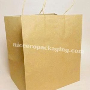 Túi giấy có quai