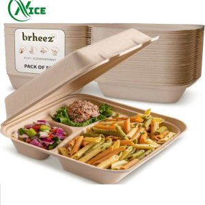 Hộp bã mía nắp gập