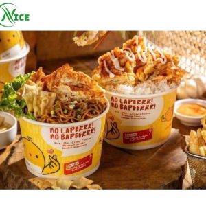 Tô giấy 2PE