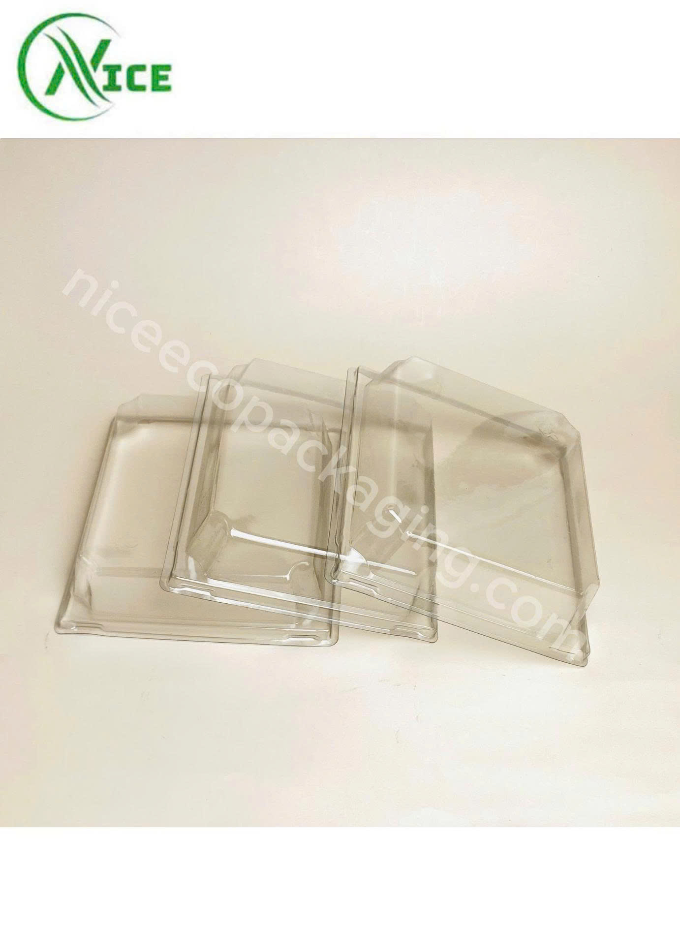 z7251078645416_80848265c02f012119c394ef48139aa3